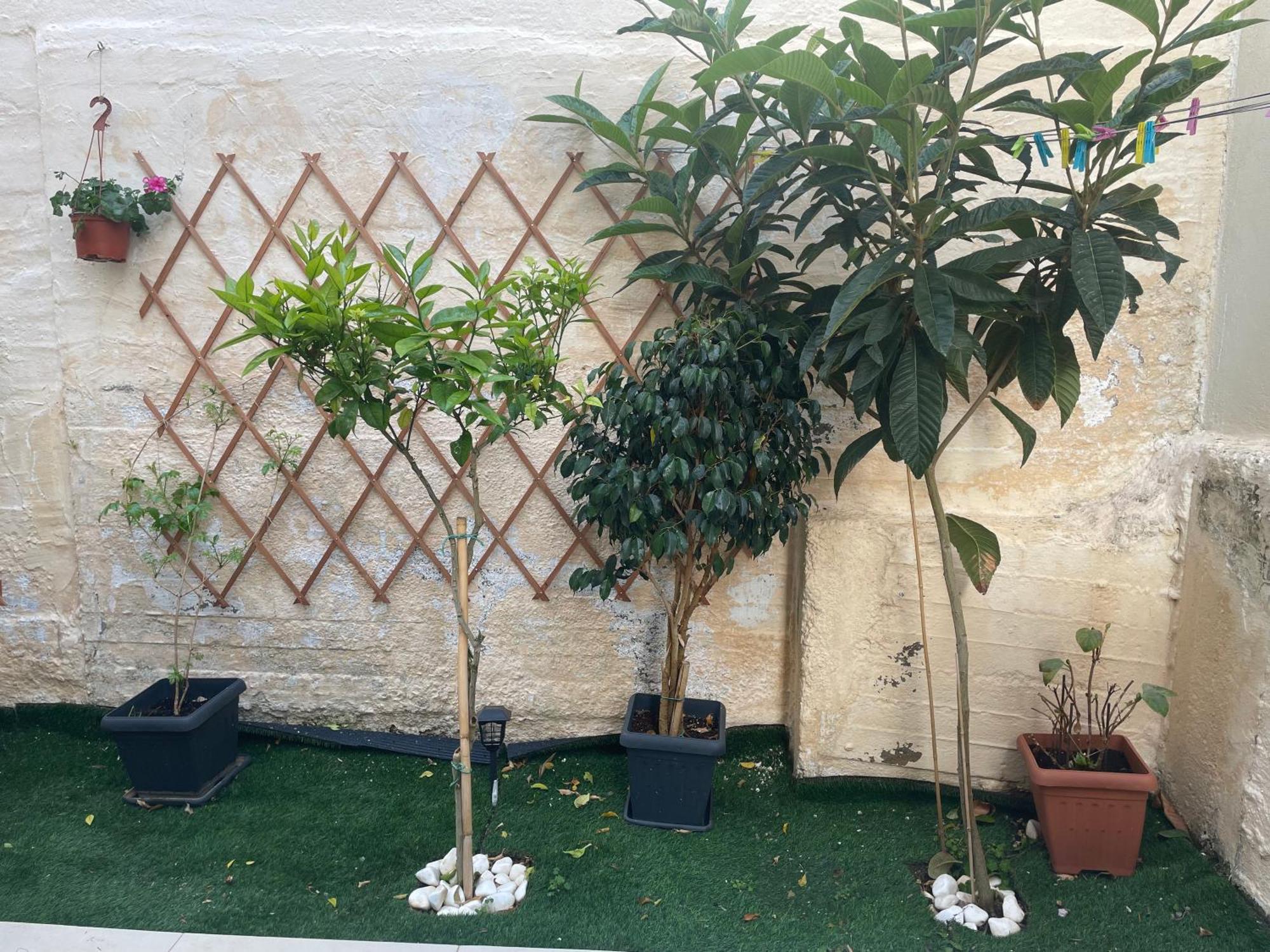 Leonidas House Chania  Екстер'єр фото